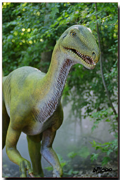 Elaphrosaurus
