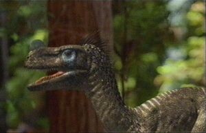 Ornitholestes