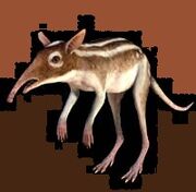 Leptictidium
