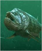 Xiphactinus