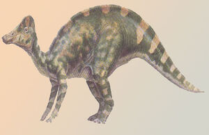 Hypacrosaurus
