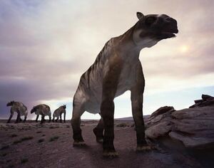 Ancylotherium