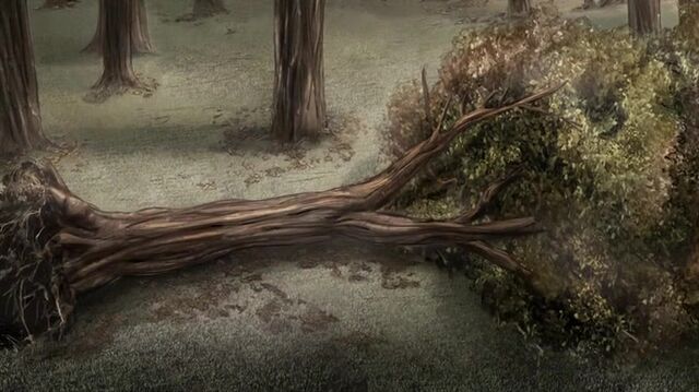 File:Down Tree.jpg