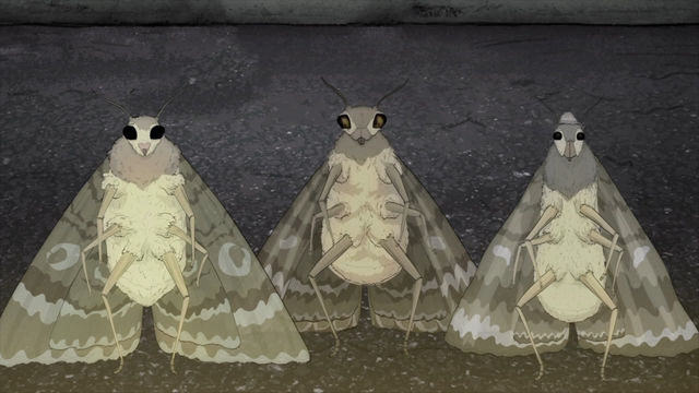 File:MothLooking.png
