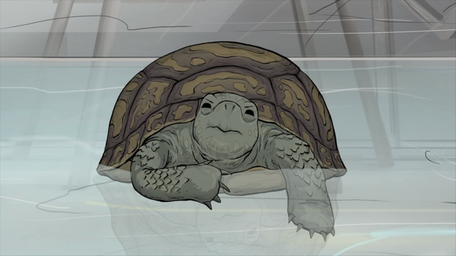 File:Katie.png