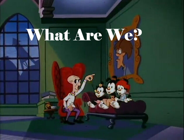 File:WhatAreWe.jpg