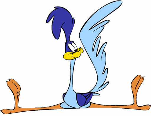 File:Roadrunner2.jpg