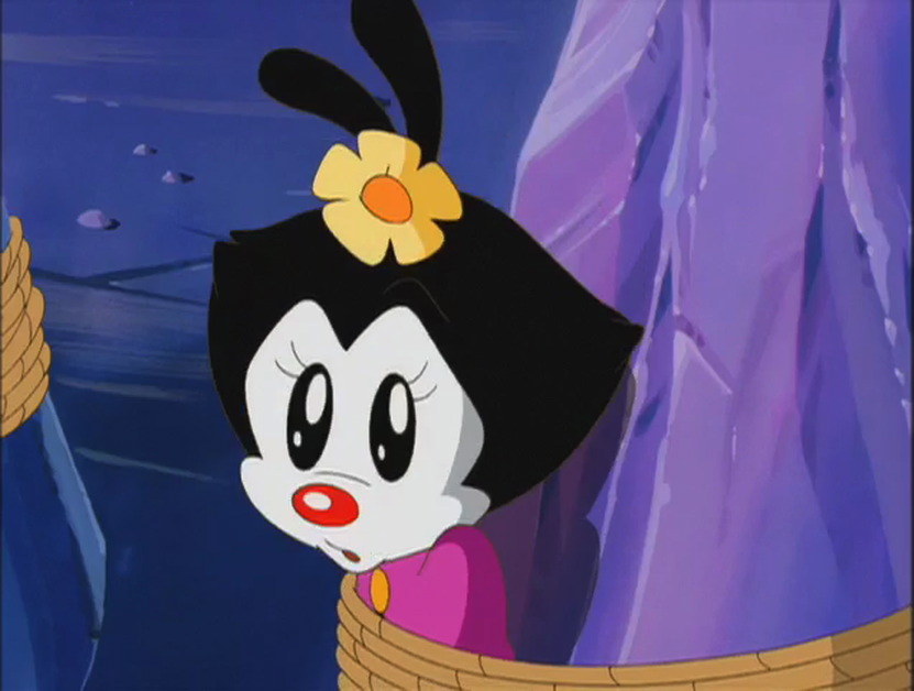 download wakko download wakko