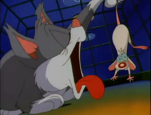 File:35-Pinky and the Cat.png