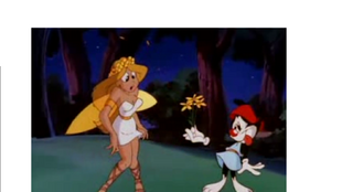 DOR-1.png