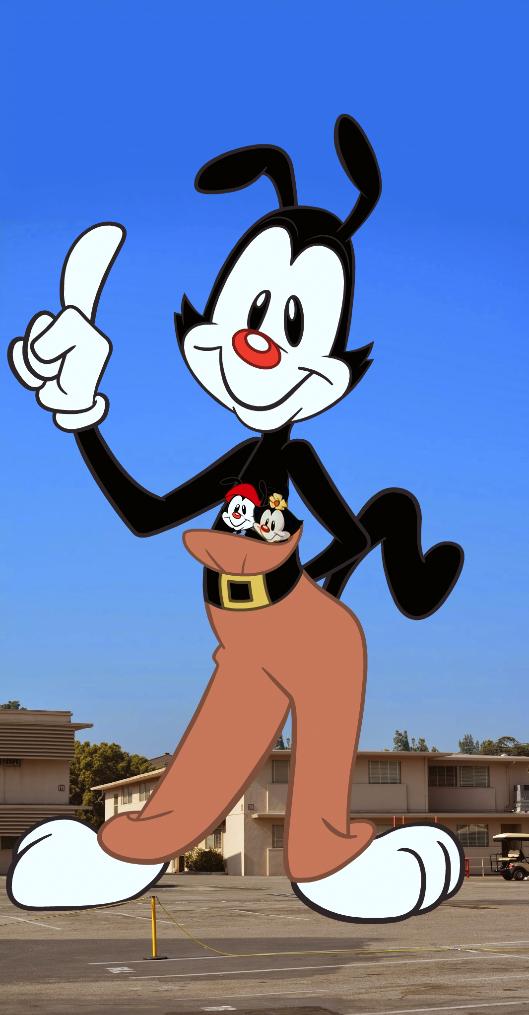 download warner brothers yakko wakko and dot download warner brothers yakko wakko and dot