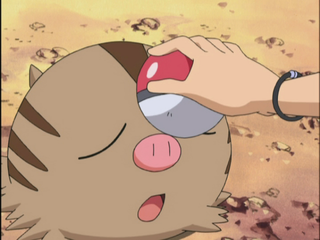 File:Vlcsnap-2010-01-29-20h43m08s34.png