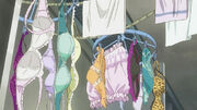 Bras 2