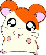 File:ImagesCAUITBU1.jpg