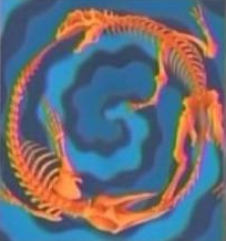 Fossile Fusion.png