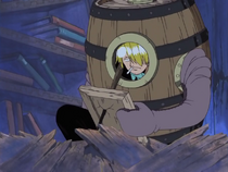 Sanji Exploring Briss