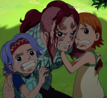 Bell-mère Protects Nami and Nojiko