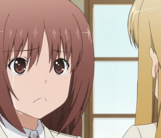 File:Tadaima13hayfever.jpg