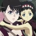 Cattleya.jpg