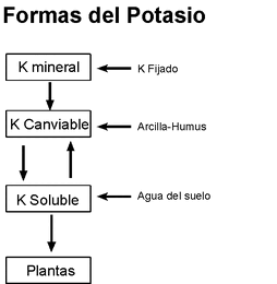 Potasio.gif