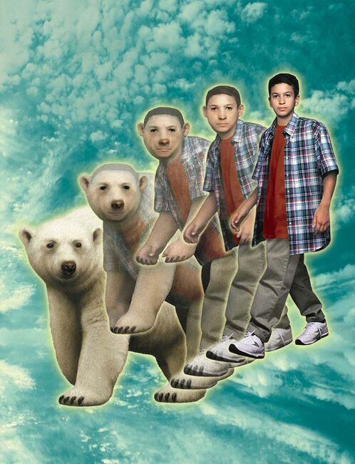 File:MarcoToPolarBear.jpg