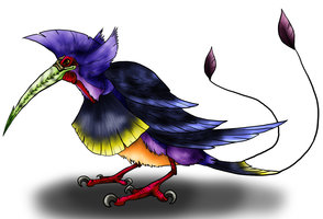File:Kafit bird.jpg