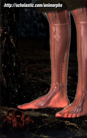 File:The Android Illustration.jpg