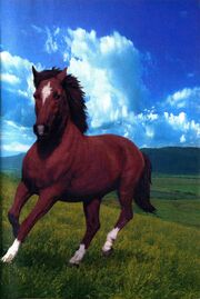 Book 14 inside cover