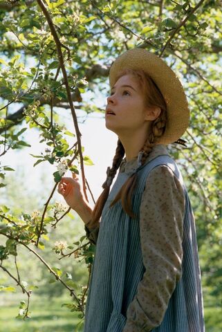 File:Annetreeclassic.jpg