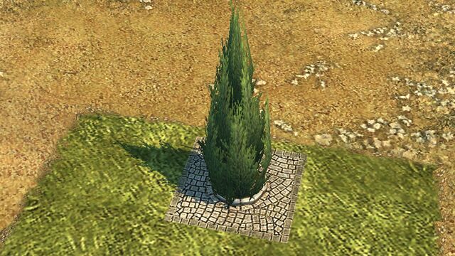 File:Cypress 2.jpg