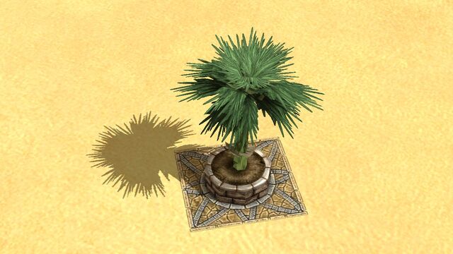 File:Palm.jpg