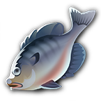 Fisch