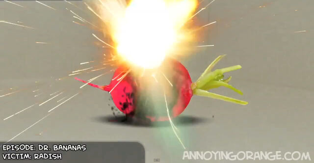 File:Radish.jpg