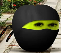File:Ninja Fruit.png