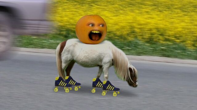 File:AO Pony.jpg