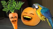 Orange22