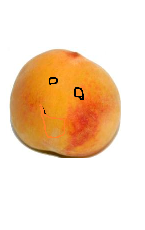 Melocoton