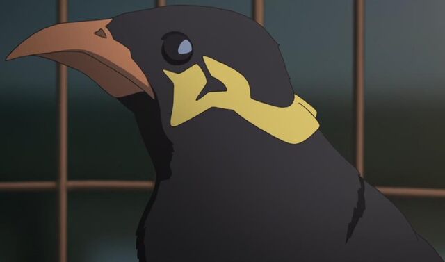 Plik:Rei.jpg