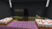 Enderbro