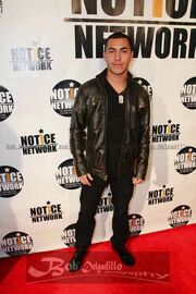 Photo-11