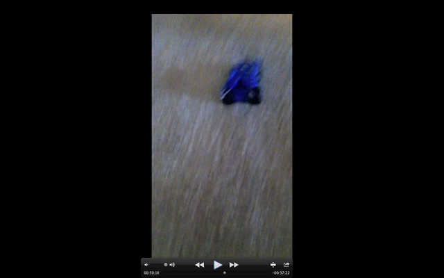 File:Screen Shot 2016-07-22 at 5.00.08 PM.png
