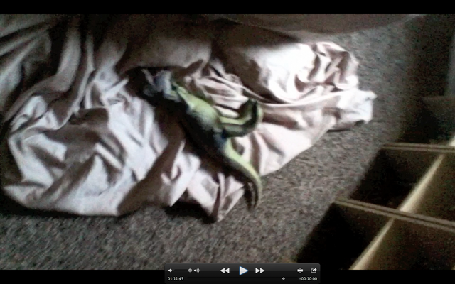 File:Screen Shot 2016-07-22 at 12.38.27 PM.png