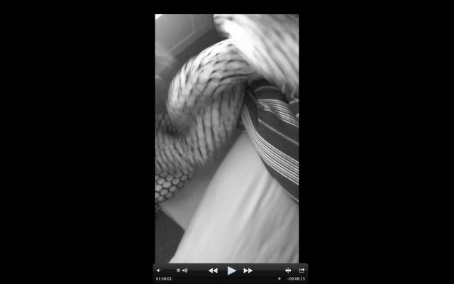 File:Screen Shot 2016-07-22 at 6.52.46 PM.png