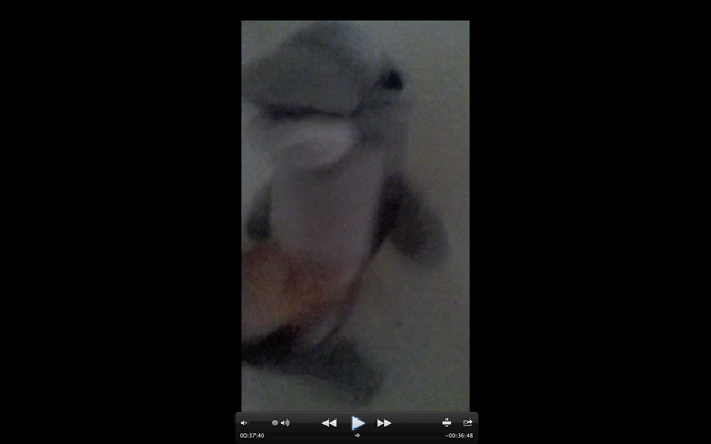 File:Screen Shot 2016-07-22 at 1.25.03 PM.png