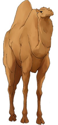 Plik:Came-angry.png