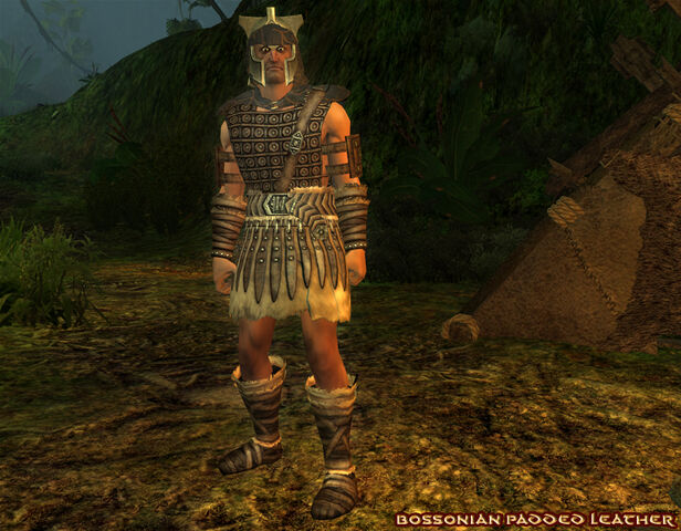 File:Bossonian Paddedleather.jpg