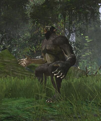 File:APEKATT.jpg