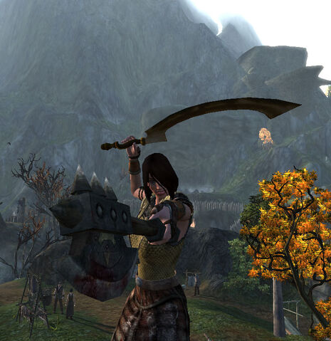 File:Conqueror dualwield.jpg