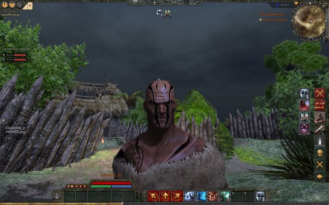 File:Gwaddray picture000.jpg