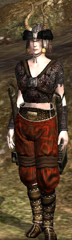 File:BattlemasterBronwithInConarch.png